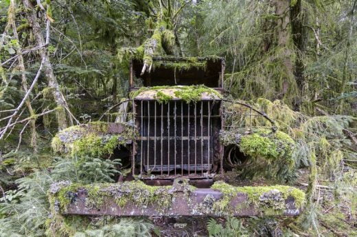 “Quand un arbre tombe, on l'entend... mais quand la forêt pousse, il n'y a pas un bruit...”