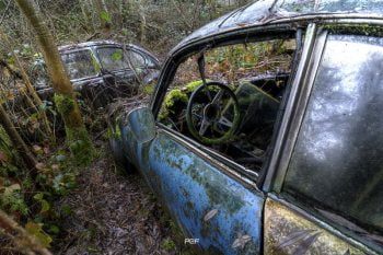 "Vert au volant plutôt que verres au volant"