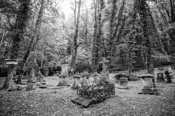 "Les morts ne sont vraiment morts que lorsque les vivants les ont oubliés..."