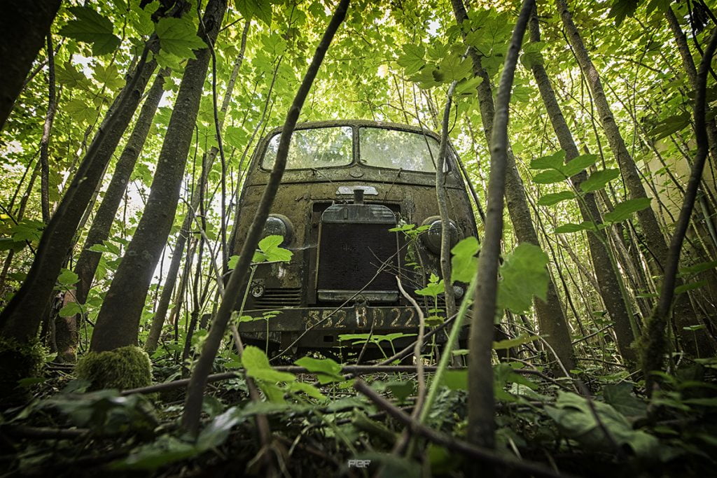 "Si la nature est parfois une prison, la verdure en est son plus tendre maton..."