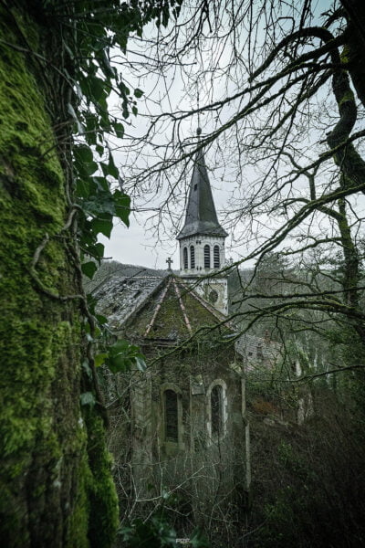 "Après avoir franchi moult encombres; sorti de sa pénombre, se dresse enfin le monstre…"