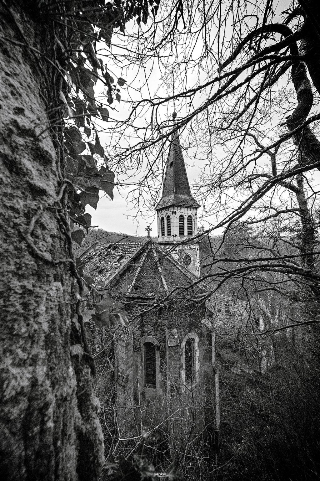 "Après avoir franchi moult encombres; sorti de sa pénombre, se dresse enfin le monstre…" (version noir & blanc)