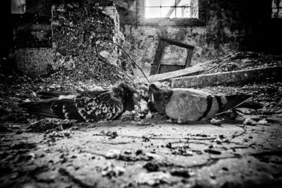 "Nous deux, c'était pour la vie. De notre premier nid jusqu'à cette église, Nous deux, c'est pour la vie. Jusqu'à la mort, c'est ce qui nous symbolise..."