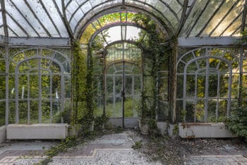 "Végétation in vitraux"