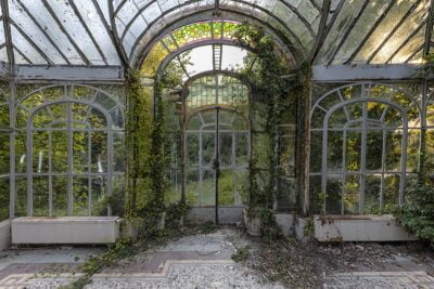 "Végétation in vitraux"