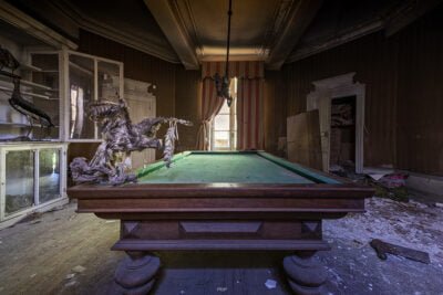 On dirait bien que ce busard... est passé sur le billard !