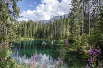 Lago di Carezza 2