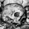 Skull Ok 2