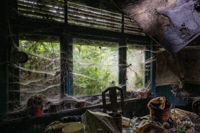 Sois ambitieux et tisse ta propre toile comme le font les araignées, Mais laisse de la place aux autres : ne sois jamais le seul à régner...
